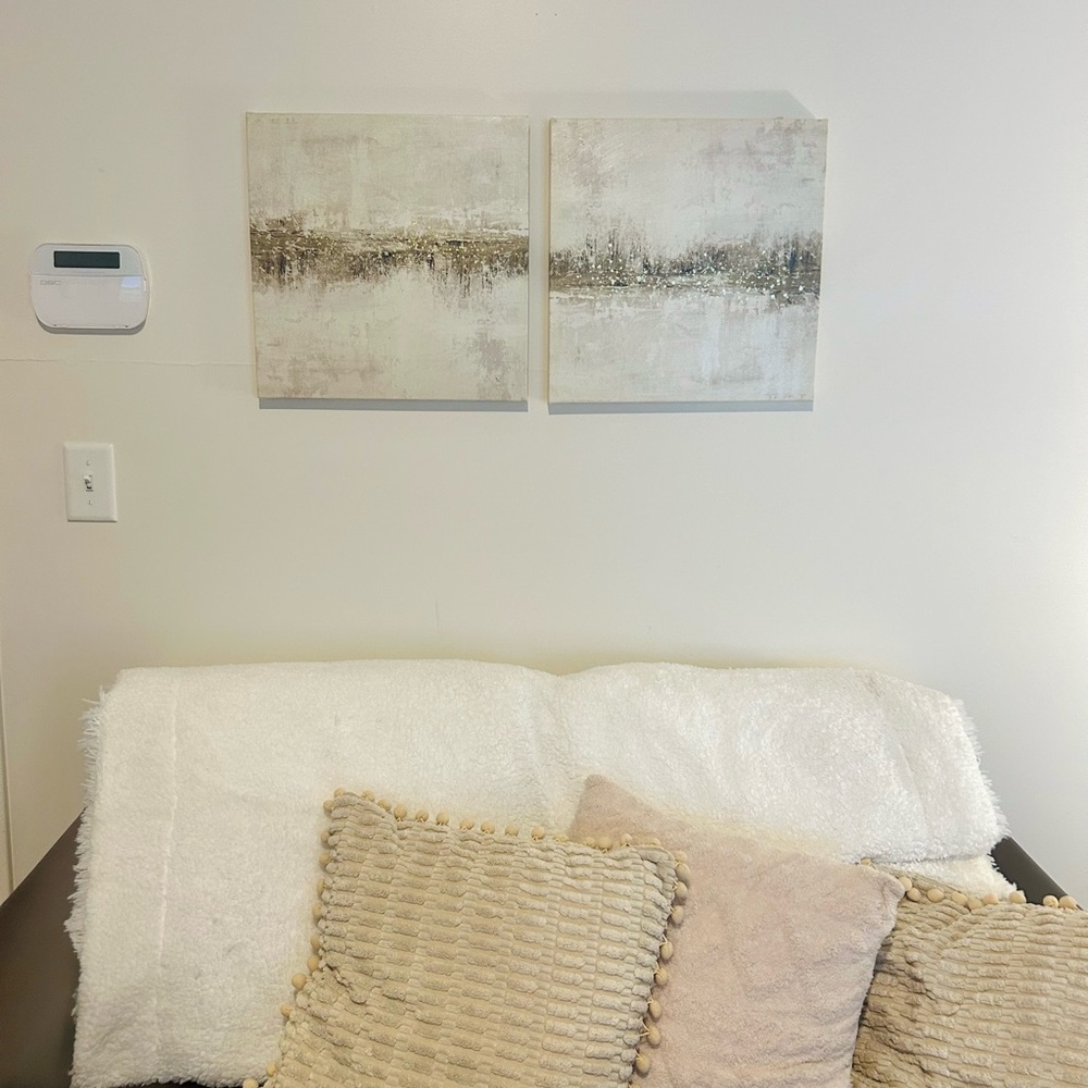 2 Piece matching decorative paintings